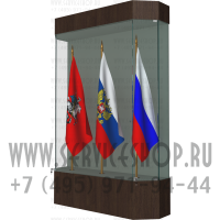 Демонстрационная витрина для знамен