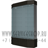 Витрина остекленная для знамен