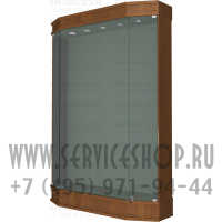 Стеклянная витрина для демонстрации знамен