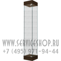 Стеклянная витрина для знамени без флага